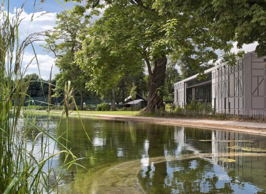 Le Cercle des patineurs 5/7